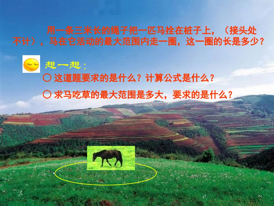 圆的面积 (4)_第2页