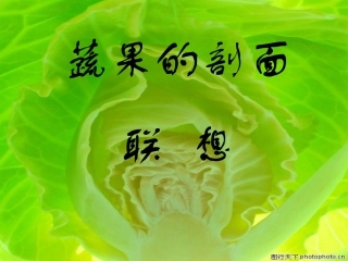 水果剖面的联想