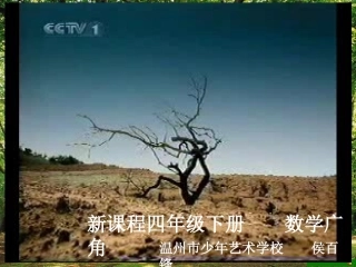 四下植树问题11