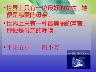 人教版五年级上册《慈母情深》PPT课件