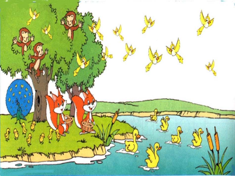 快乐的动物北师大版小学数学二年级上册课件 (2)_第2页