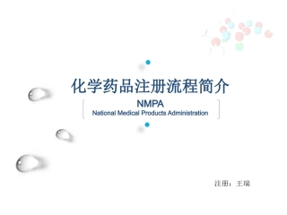 药品注册流程