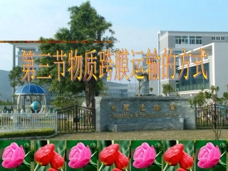 物质跨膜运输的方式