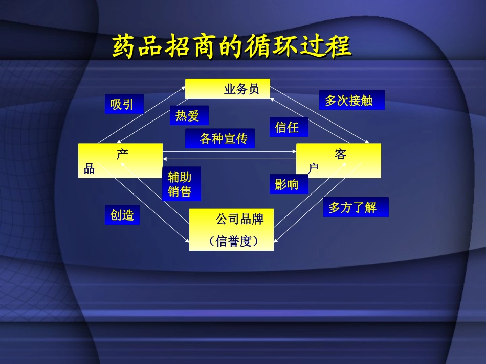 药品招商宝典(康)_第2页