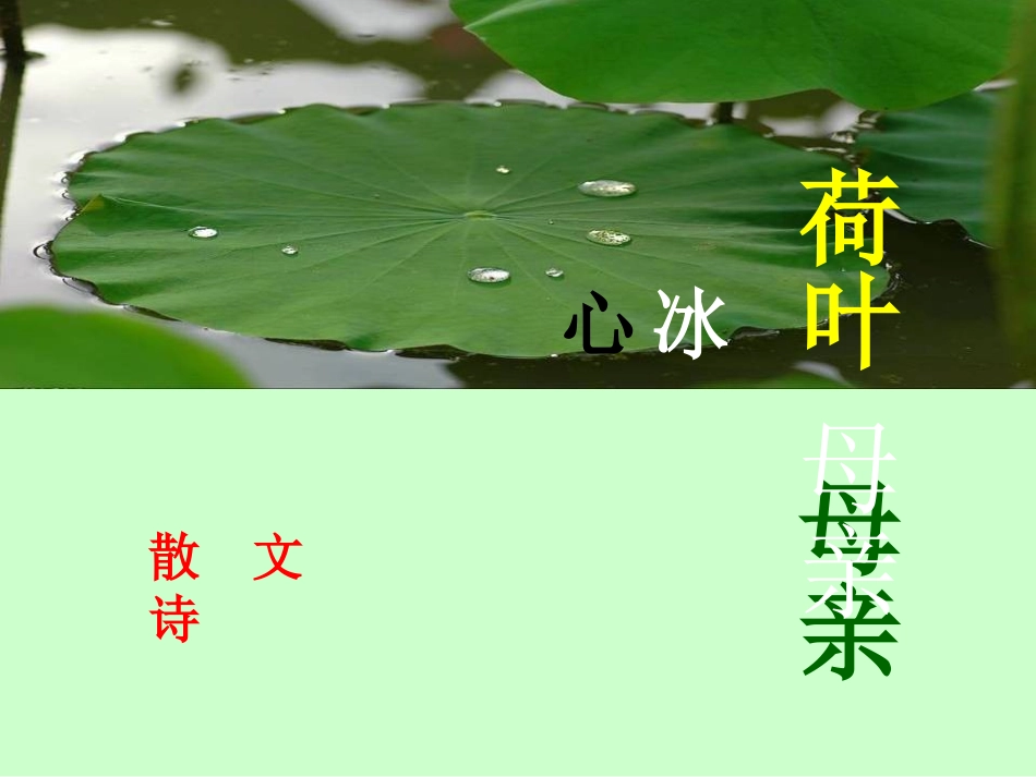 荷叶、母亲1_第1页