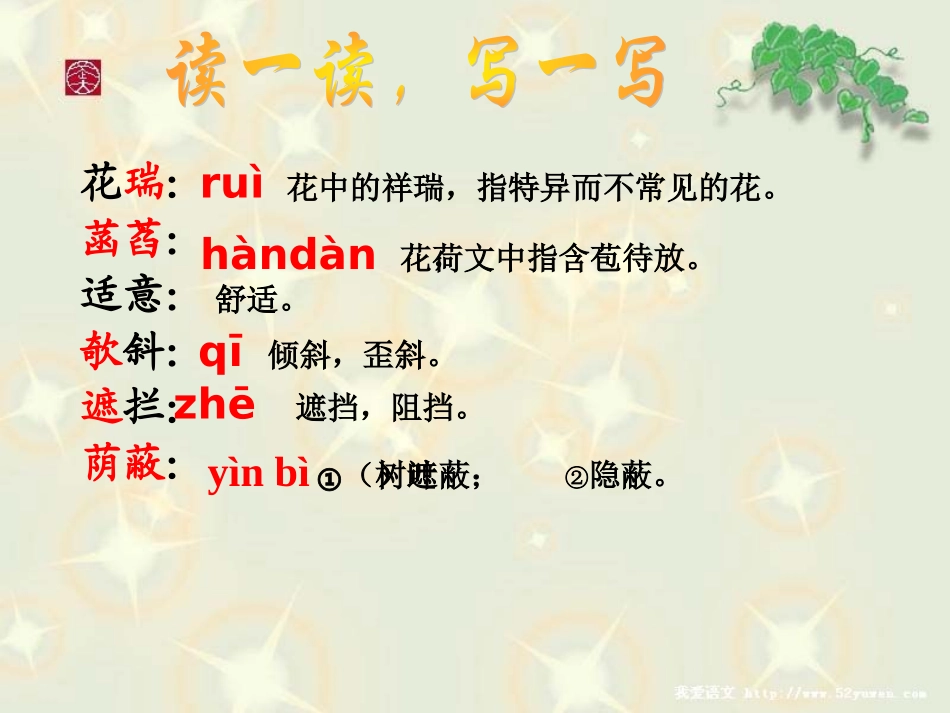 荷叶、母亲1_第3页