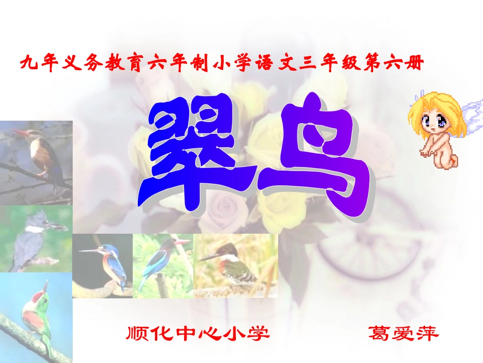 翠鸟课件()_第1页