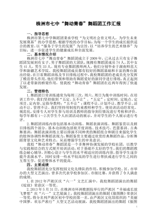 舞蹈团工作汇报