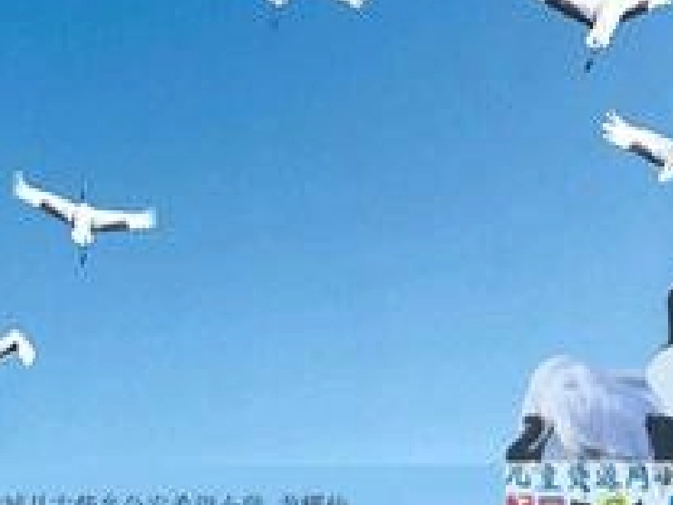 （苏教版）二年级语文上册课件《美丽的丹顶鹤》[1]_第1页