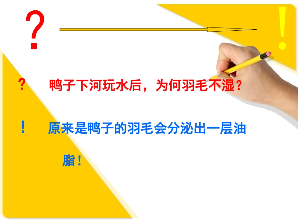 利村中心小学肖仁志《真理诞生于一百个问号之后》教学课件_第2页
