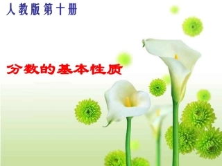 分数基本性质[1]