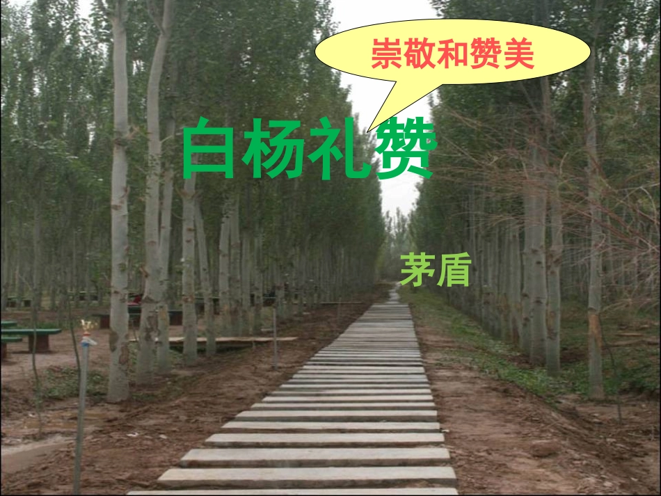 白杨礼赞 (3)_第1页