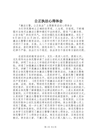 公正执法心得体会 