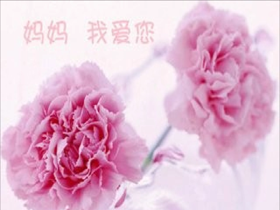 震撼人心的母爱_第3页