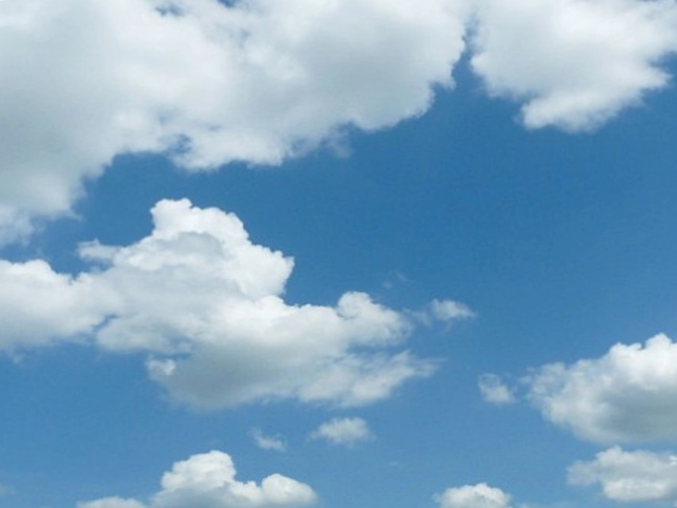 我是什么第一课时课件_第3页