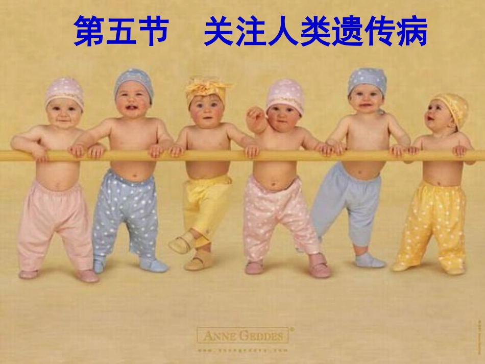 关注人类遗传病苏教1(公开课)_第1页