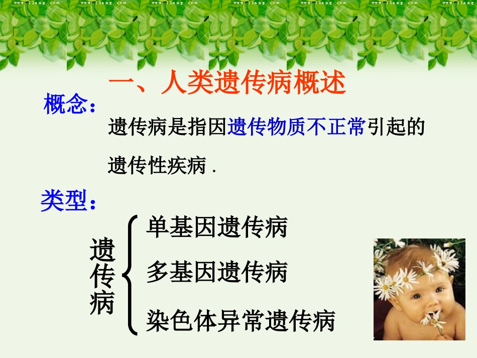关注人类遗传病苏教1(公开课)_第3页