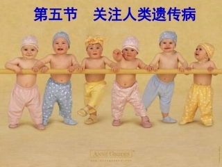 关注人类遗传病苏教1(公开课)