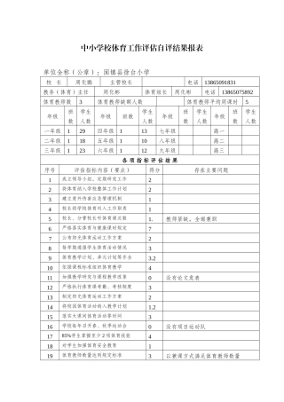 中小学校体育工作评估自评结果报表 (2)