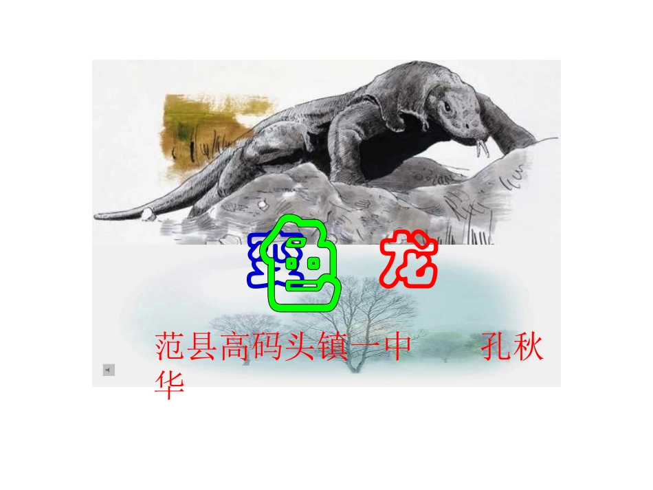 变色龙 (2)_第1页