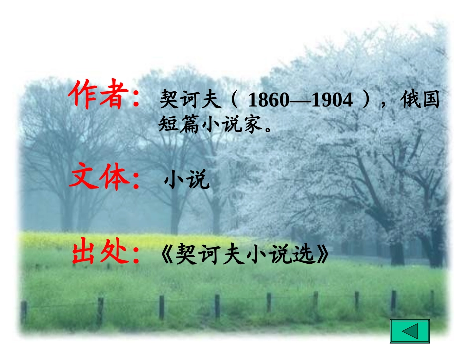 变色龙 (2)_第3页