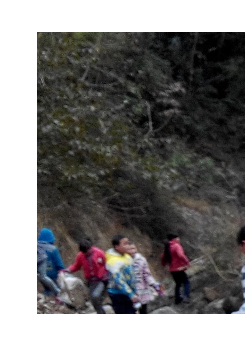 环保小卫士活动_第3页