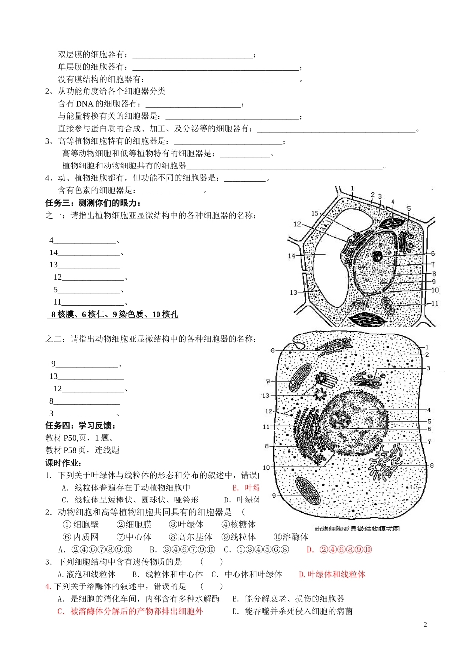 细胞器学案及课时练习_第2页