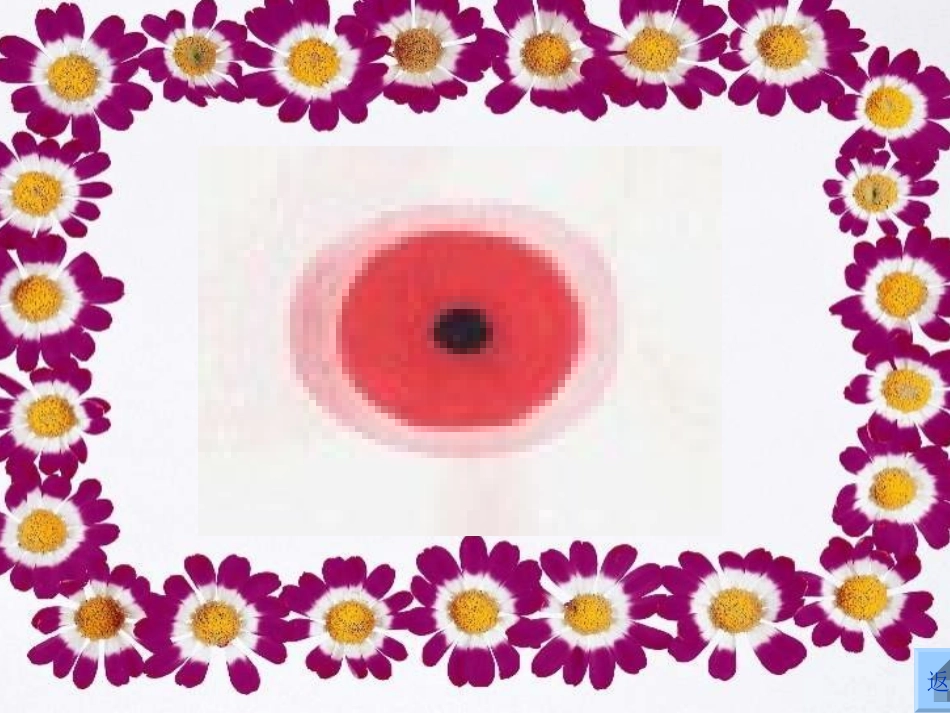 《口耳目》课件_第3页