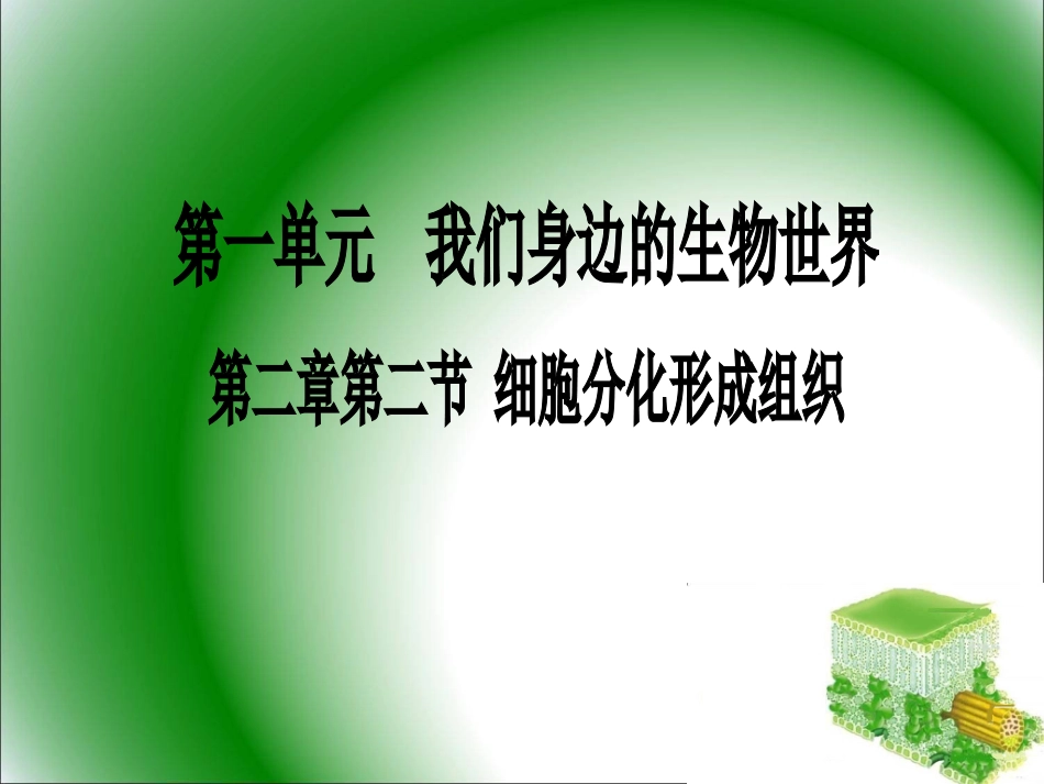 细胞分化形成组织_第1页