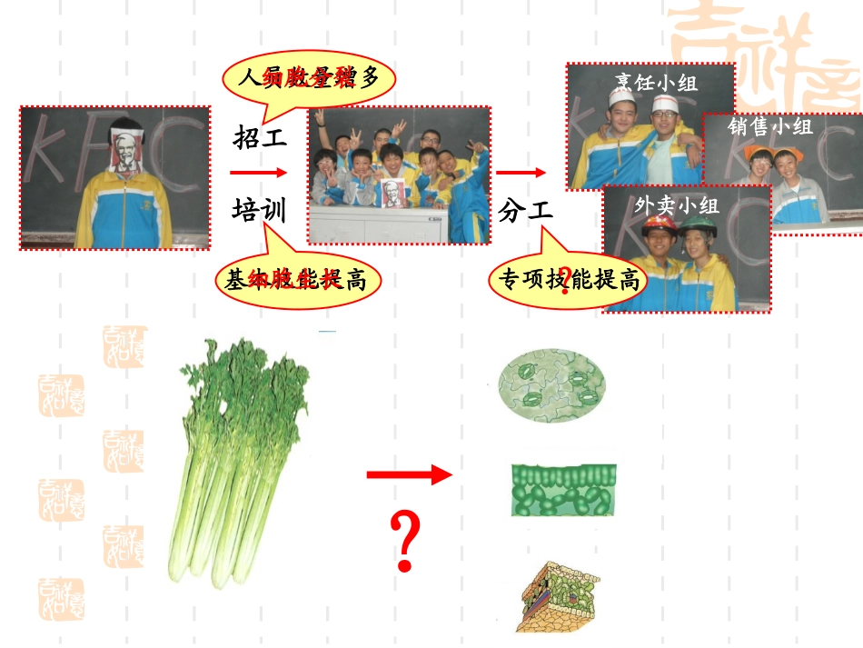 细胞分化形成组织_第3页