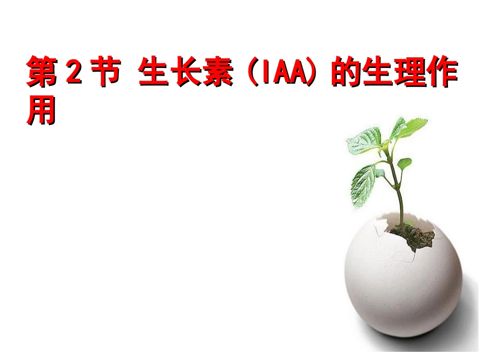 生长素的生理作用_第1页