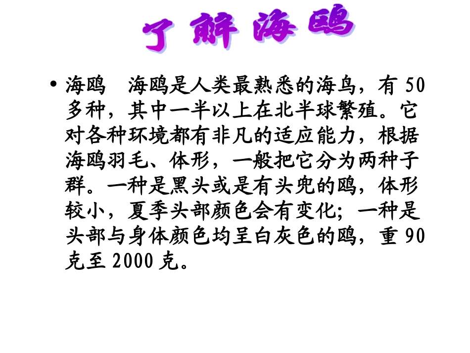 《老人与海鸥》第一课时_第1页