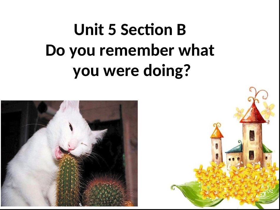 2014年人教版最新八年级英语下Unit5SectionB课件_第1页