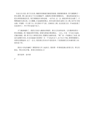 乌龟头尖尖的