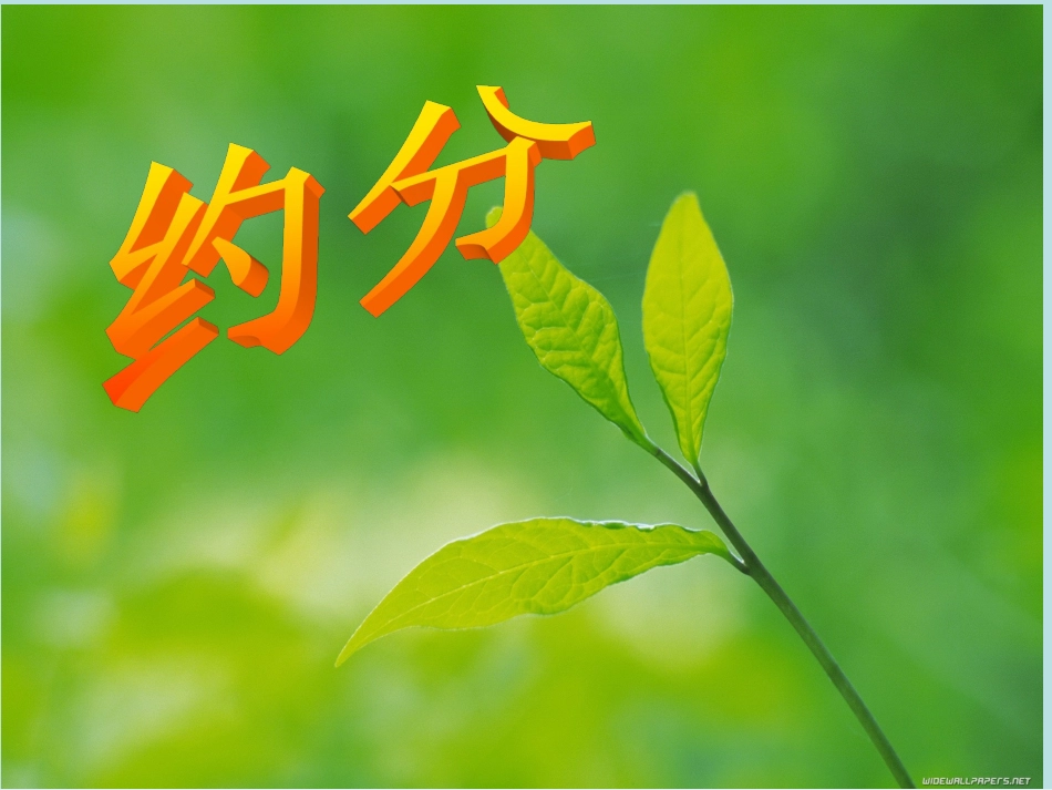 数学五年级下册《约分》_第1页