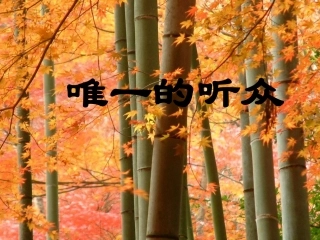 《唯一的听众》参考课件 (2)