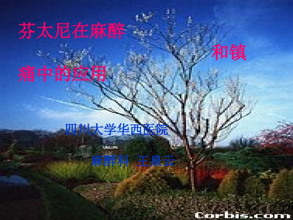 芬太尼在麻醉镇痛中应用_第1页