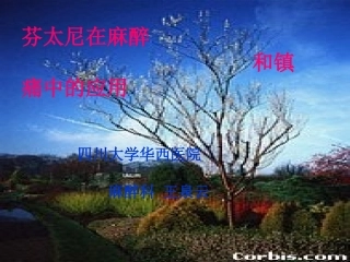 芬太尼在麻醉镇痛中应用