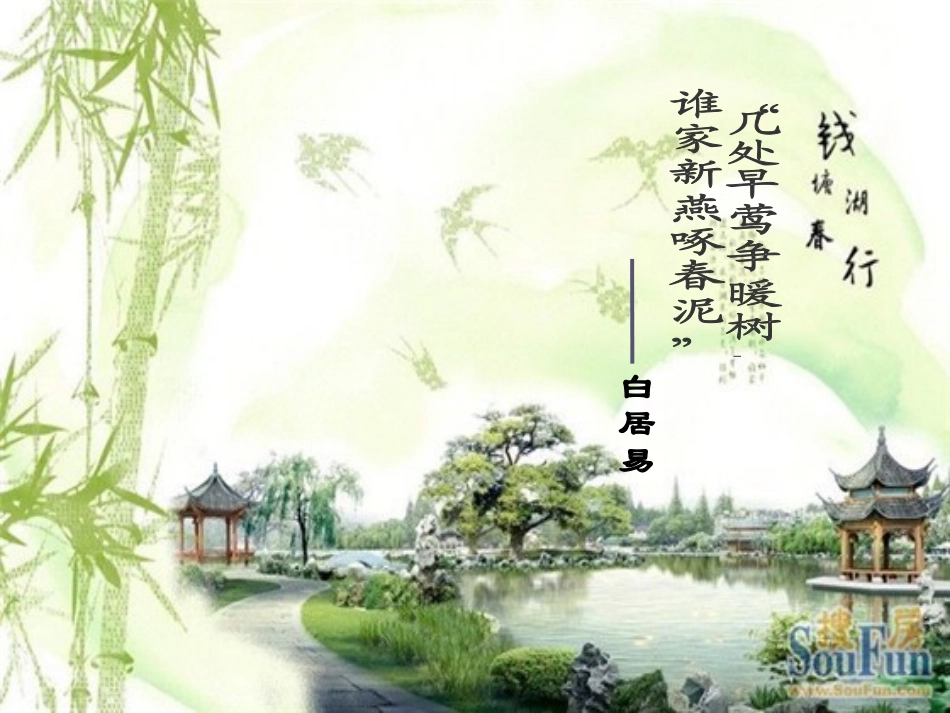 鸟类的生殖和发（修改）育_第1页