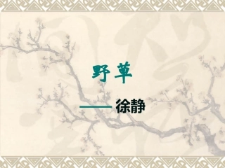 种子的力（徐静）
