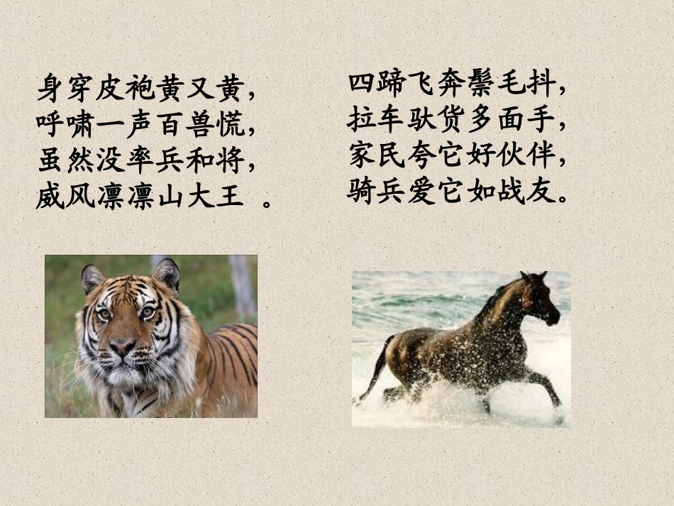 我最喜爱的动物_第3页