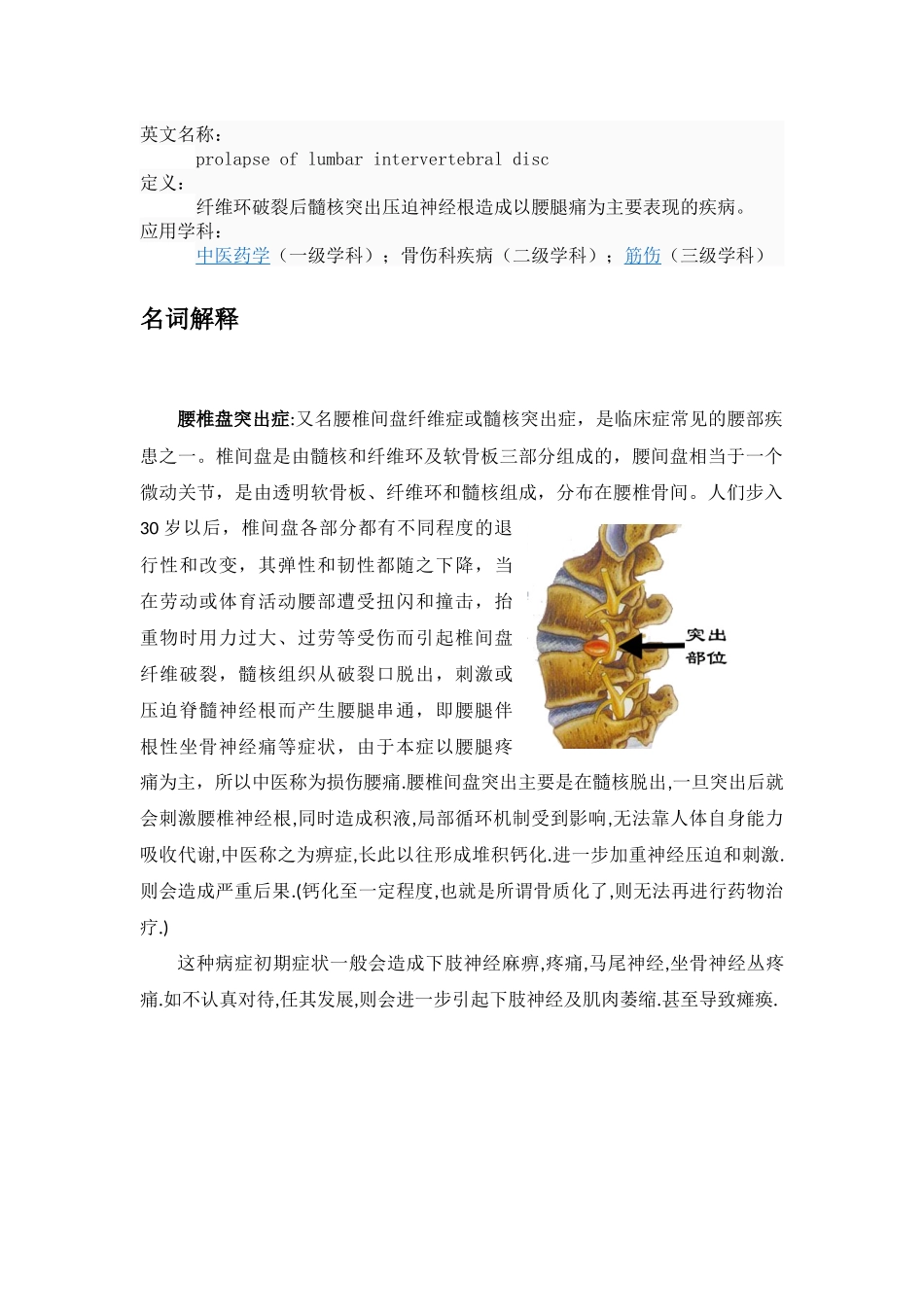 腰椎间盘突出症_第3页