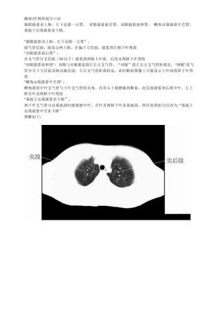 胸部CT肺段划分口诀