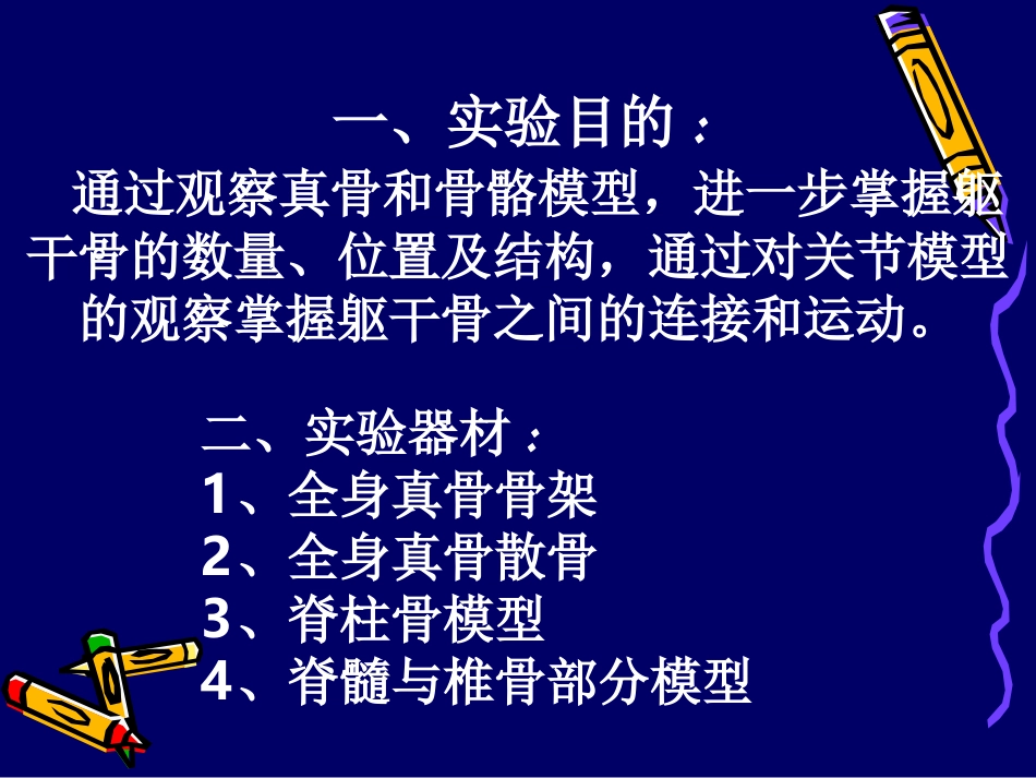 胸骨角胸骨体胸骨柄_第3页