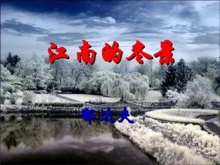 胸襟jīn绿林lù恣意