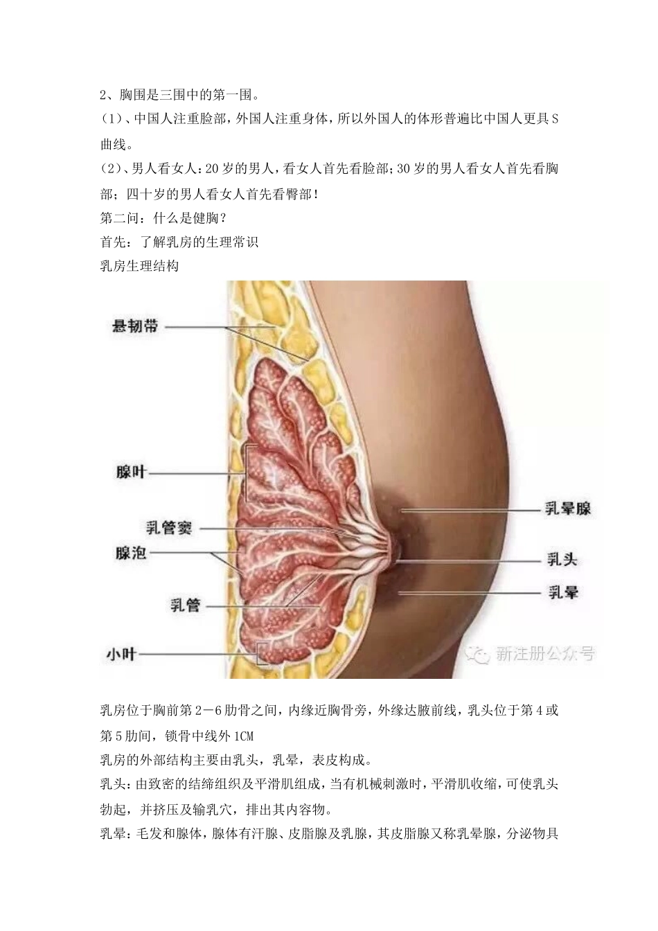 胸部健康知识_第2页