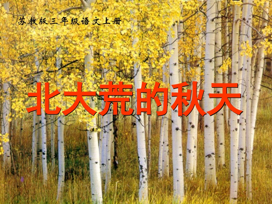 北大荒的秋天_第1页