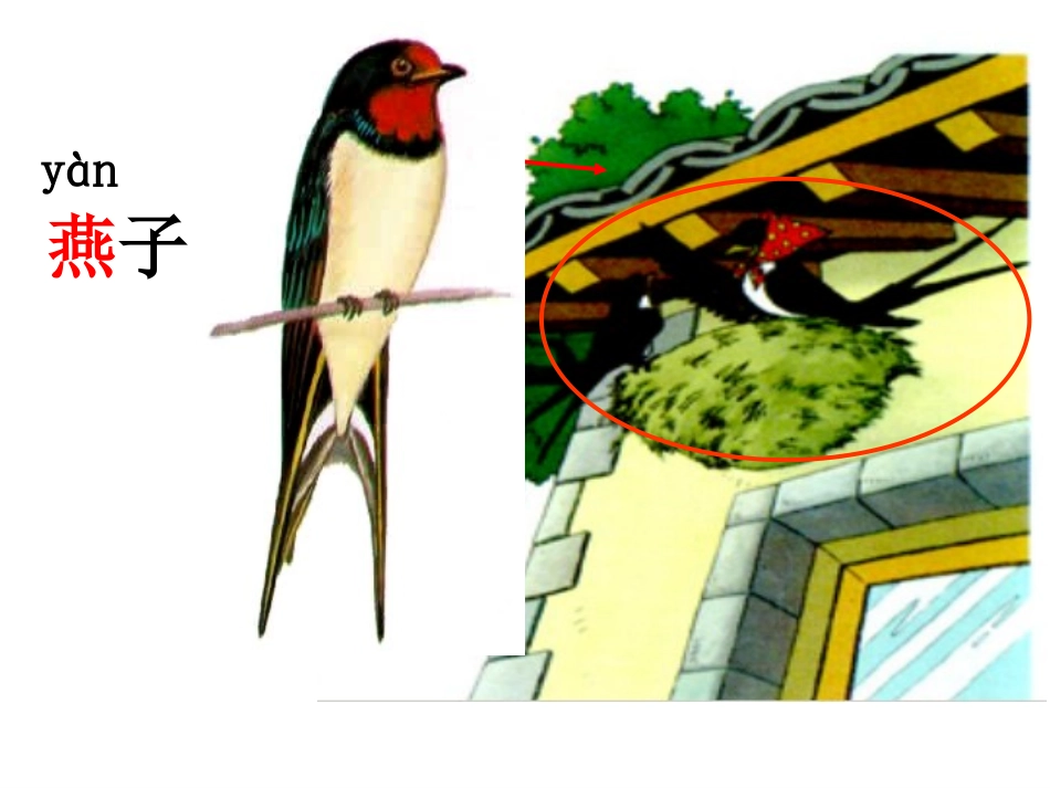 一次比一次有进步课件_第1页