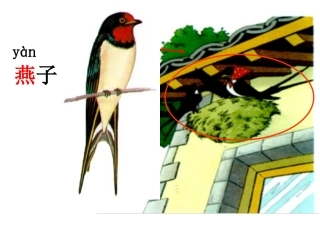 一次比一次有进步课件