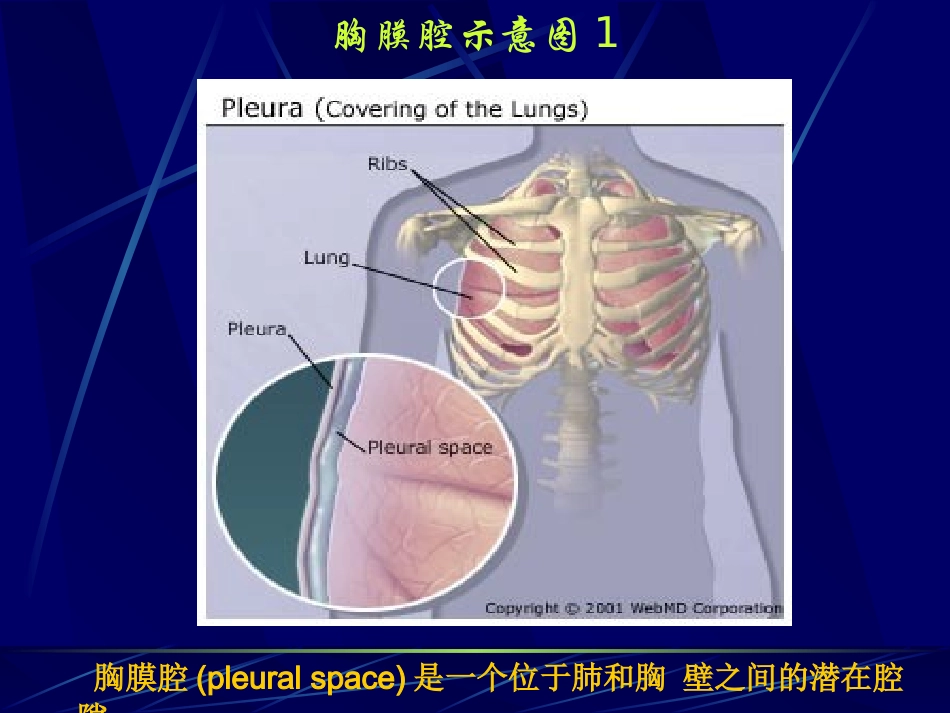 胸腔积液(第六版)_第2页